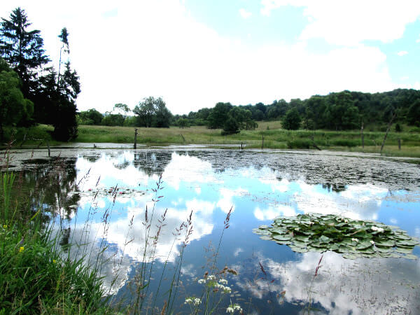 Reserve naturelle Zrodliska