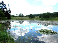 Reserve naturelle Zrodliska