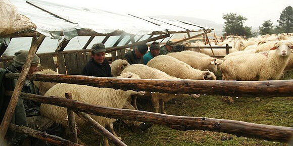 Bergerie de Radocyna 2