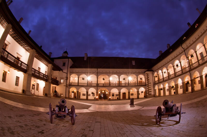 Château de Niepołomice